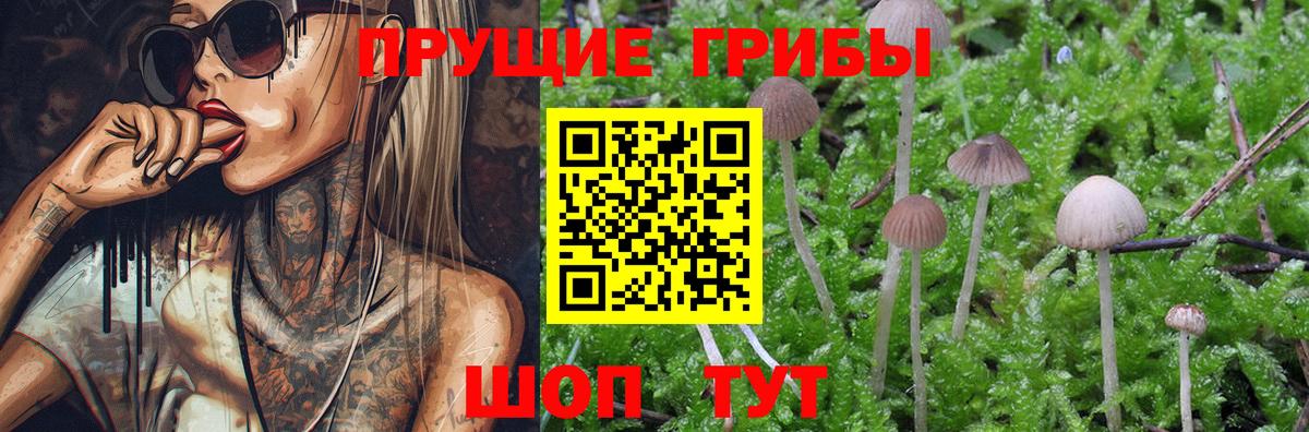 Галлюциногенные грибы ЛСД Сыктывкар
