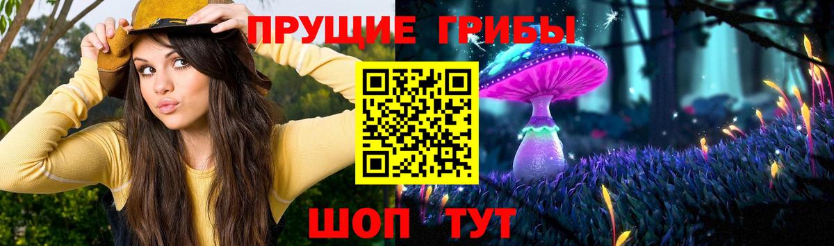 Галлюциногенные грибы ЛСД  Галлюциногенные грибы GOLDEN TEACHER  Сыктывкар  Вход с VPN 