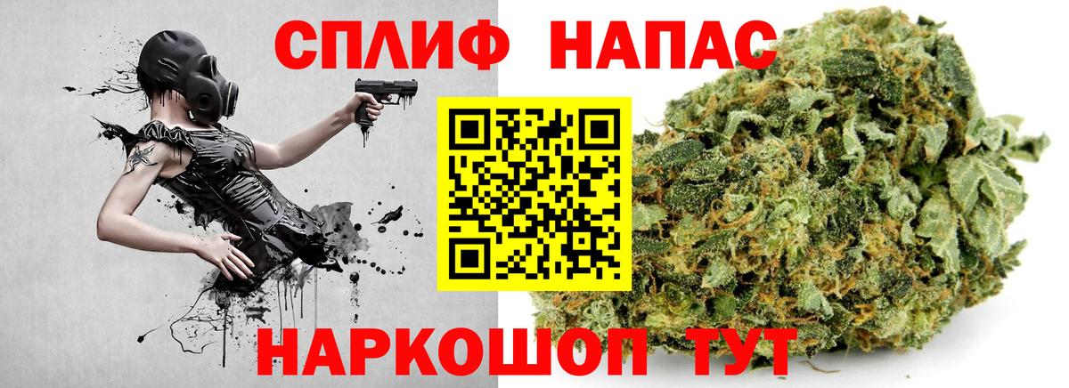 Бошки Шишки ГИДРОПОН Сыктывкар